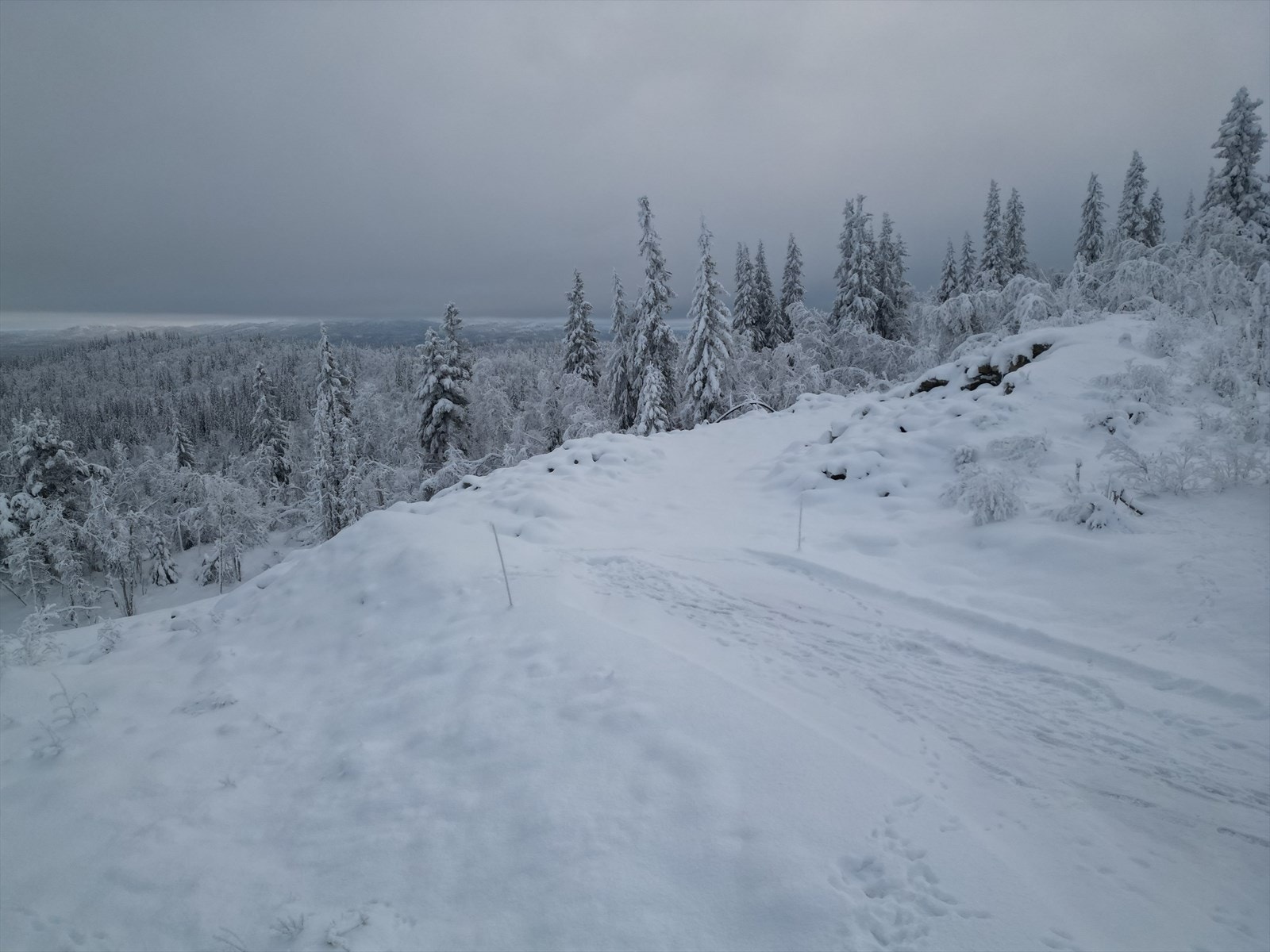 dji_fly_20231112_171150_55_1700470117271_photo.jpeg Galleribilde
