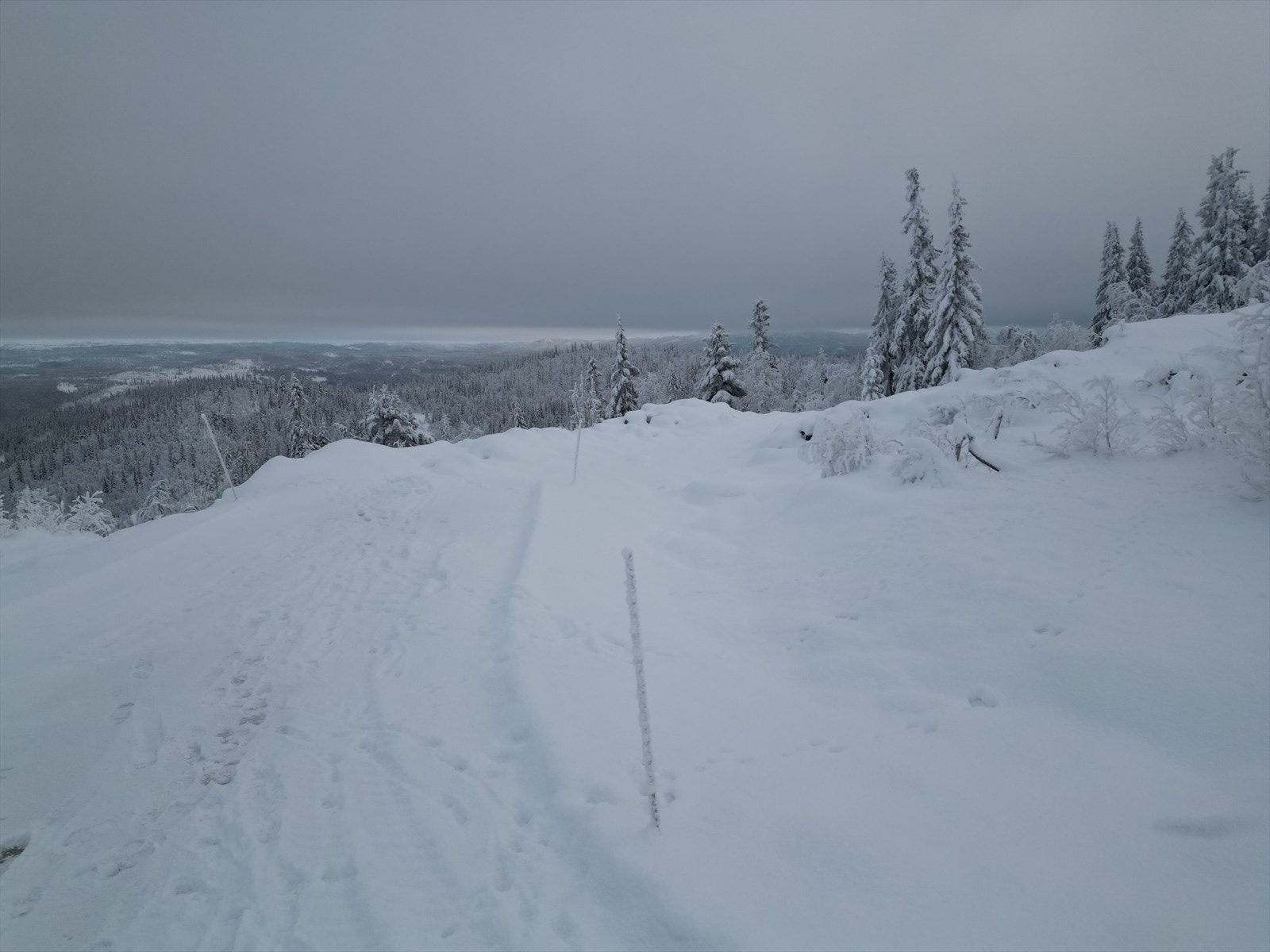 dji_fly_20231112_171238_59_1700470116711_photo.jpeg Galleribilde