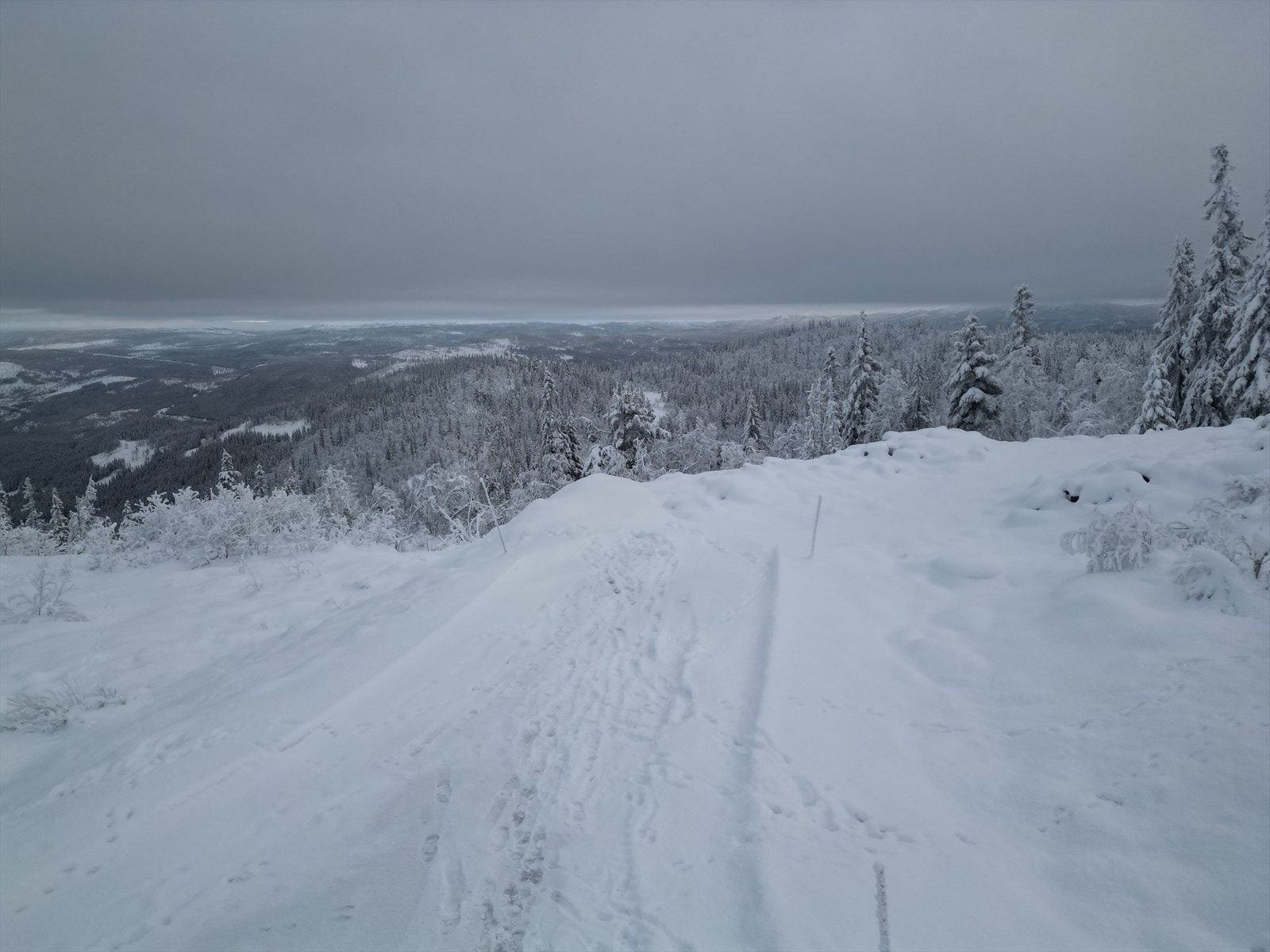 dji_fly_20231112_171226_58_1700470116836_photo.jpeg Galleribilde