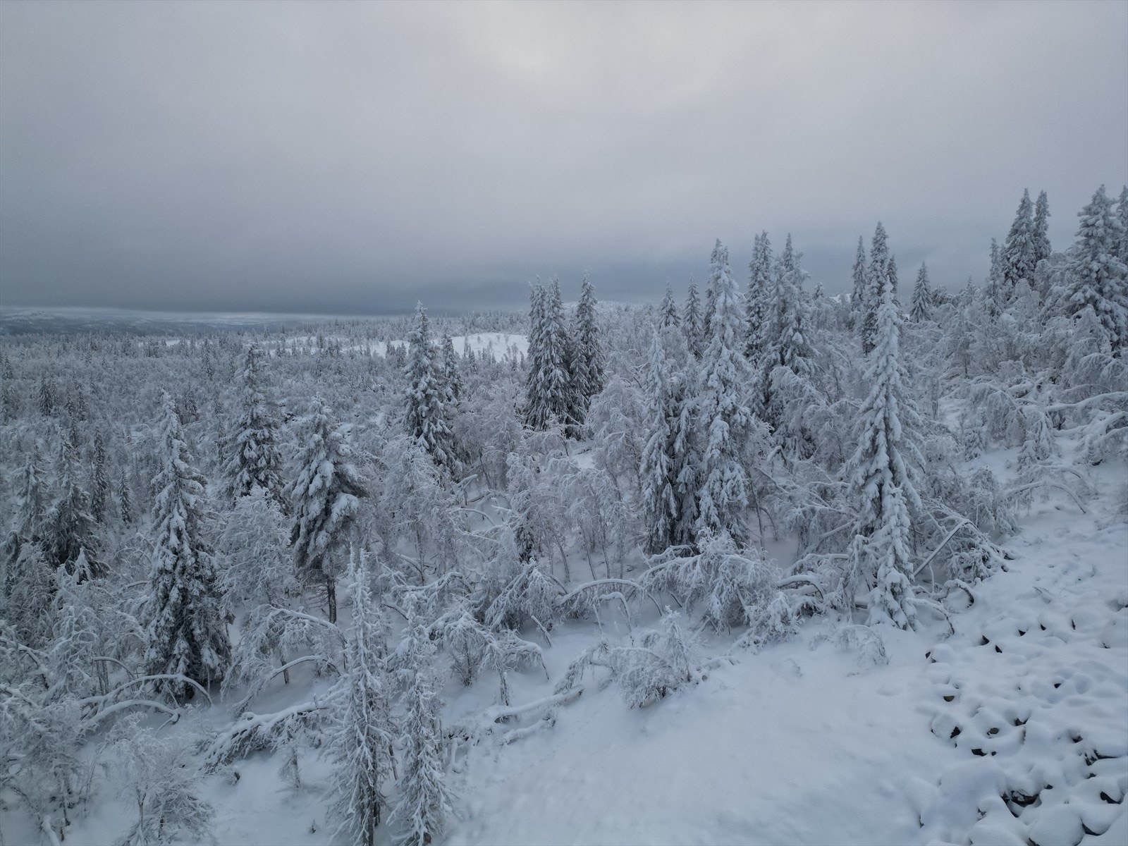 dji_fly_20231112_170954_48_1700470118670_photo.jpeg Galleribilde