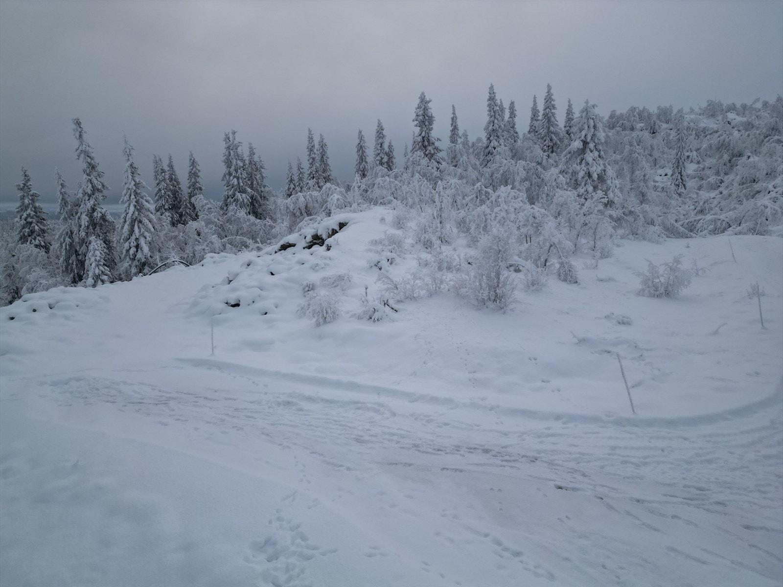 dji_fly_20231112_171154_56_1700470117119_photo.jpeg Galleribilde