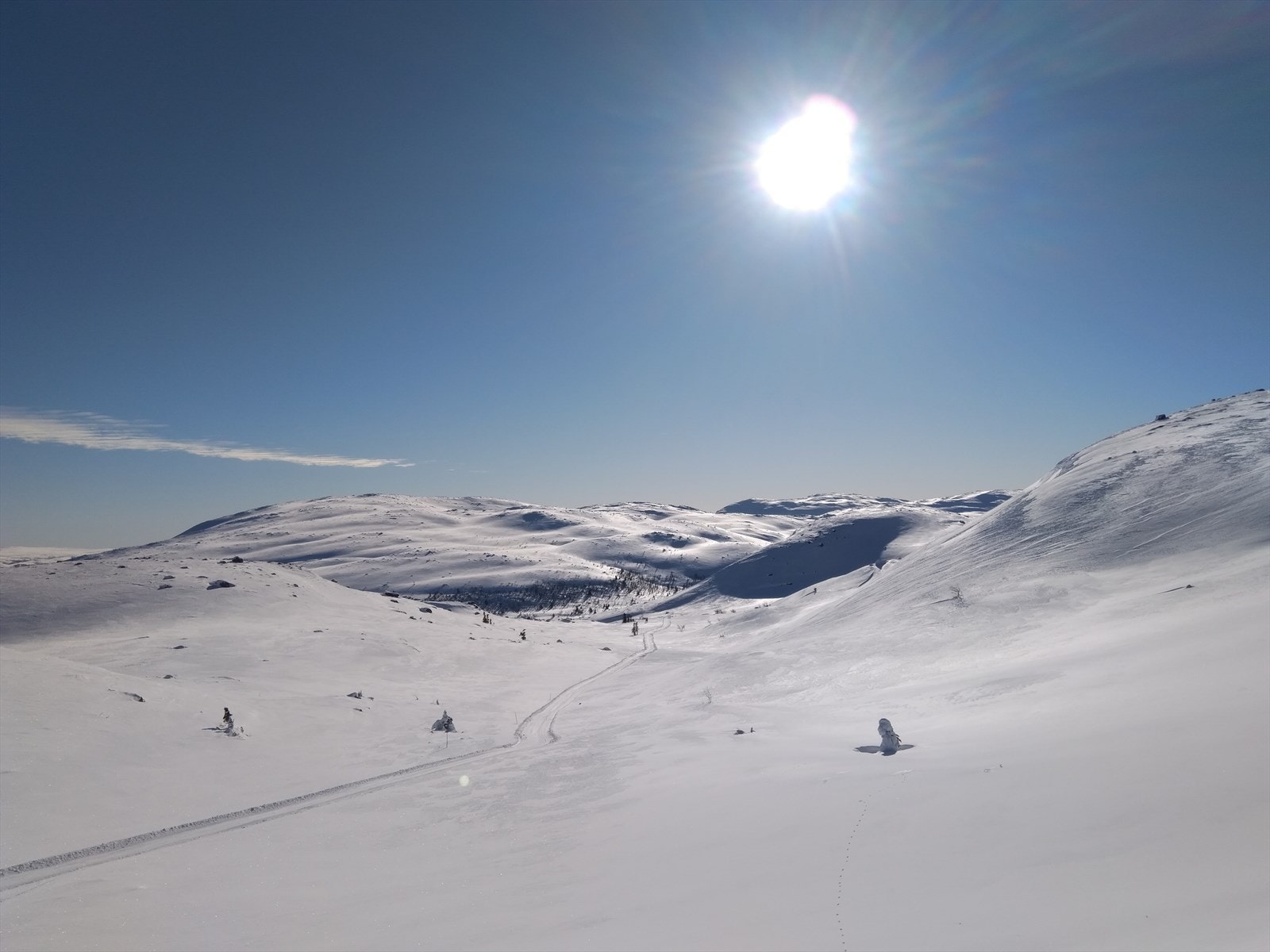 Høyt til fjells.jpg Galleribilde