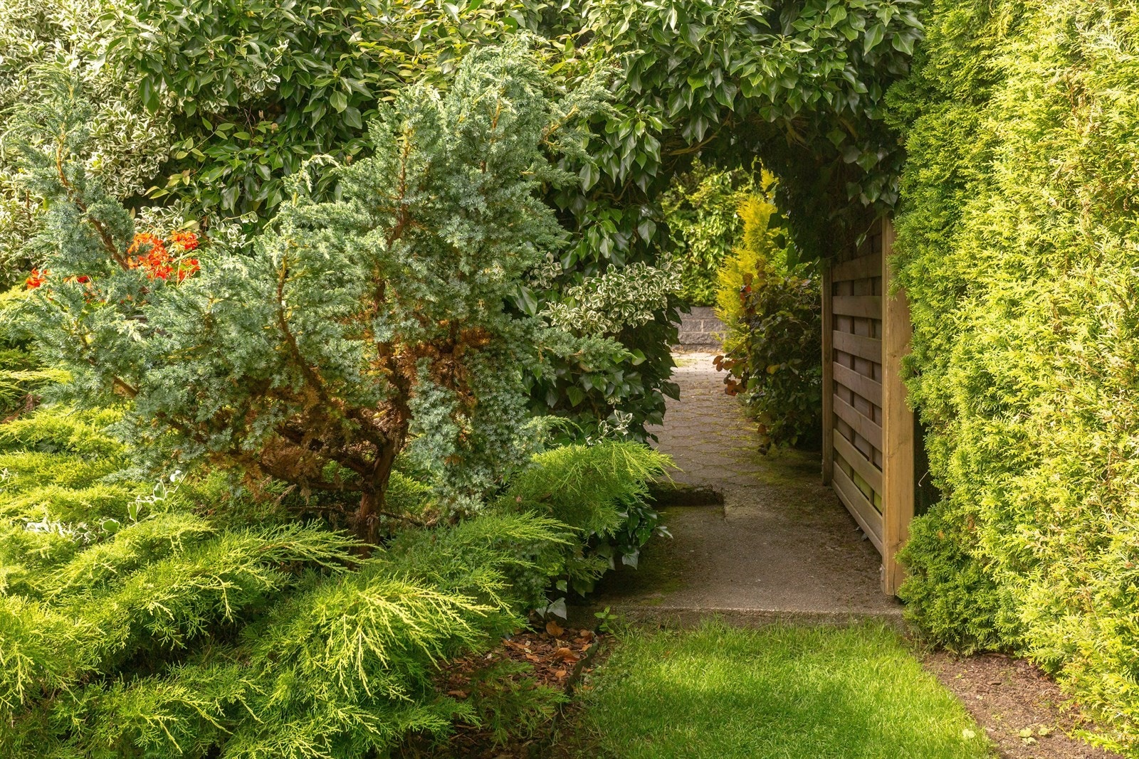 Inngang til hagen Galleribilde