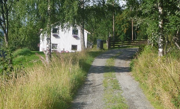 Sommer Galleribilde