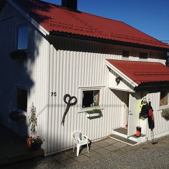 Sommerbilde Galleribilde