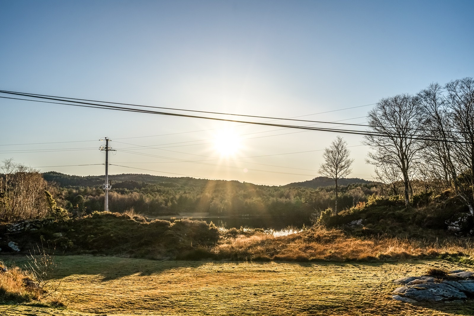 Utsikt mot vest Galleribilde