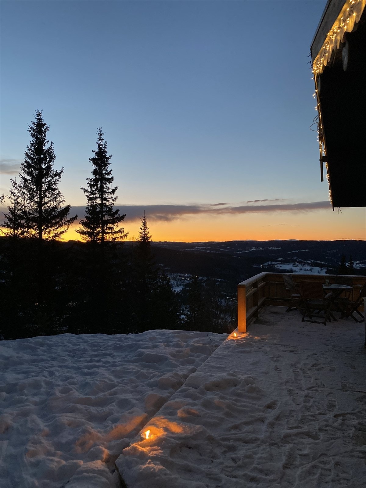Selgers egne bilder Galleribilde