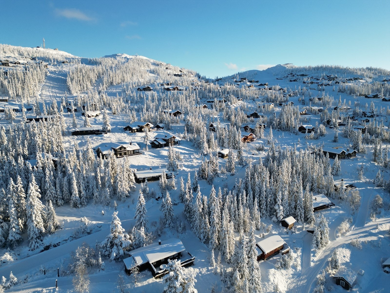 Kort vei til alpin med tilgang inn i løypene fra neste sving Galleribilde