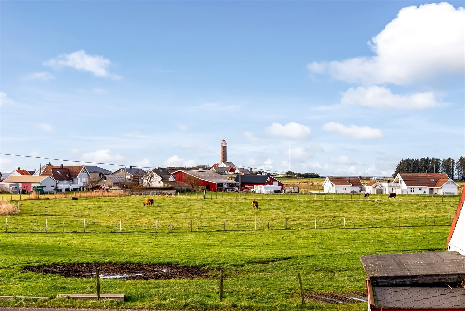 Utsikt mot fyret Galleribilde