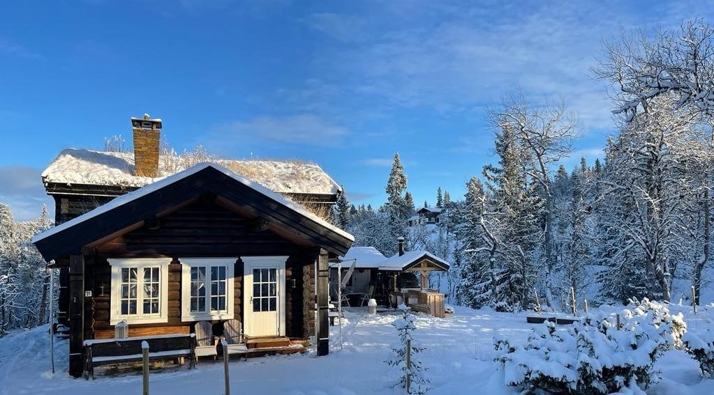 Nesfjellet byr på mange muligheter og ligger sentralt plassert i forhold til fasiliteter og aktiviteter slik som Langedrag Naturpark, Bjørneparken på Flå og Tropicana badeland på Gol. Galleribilde