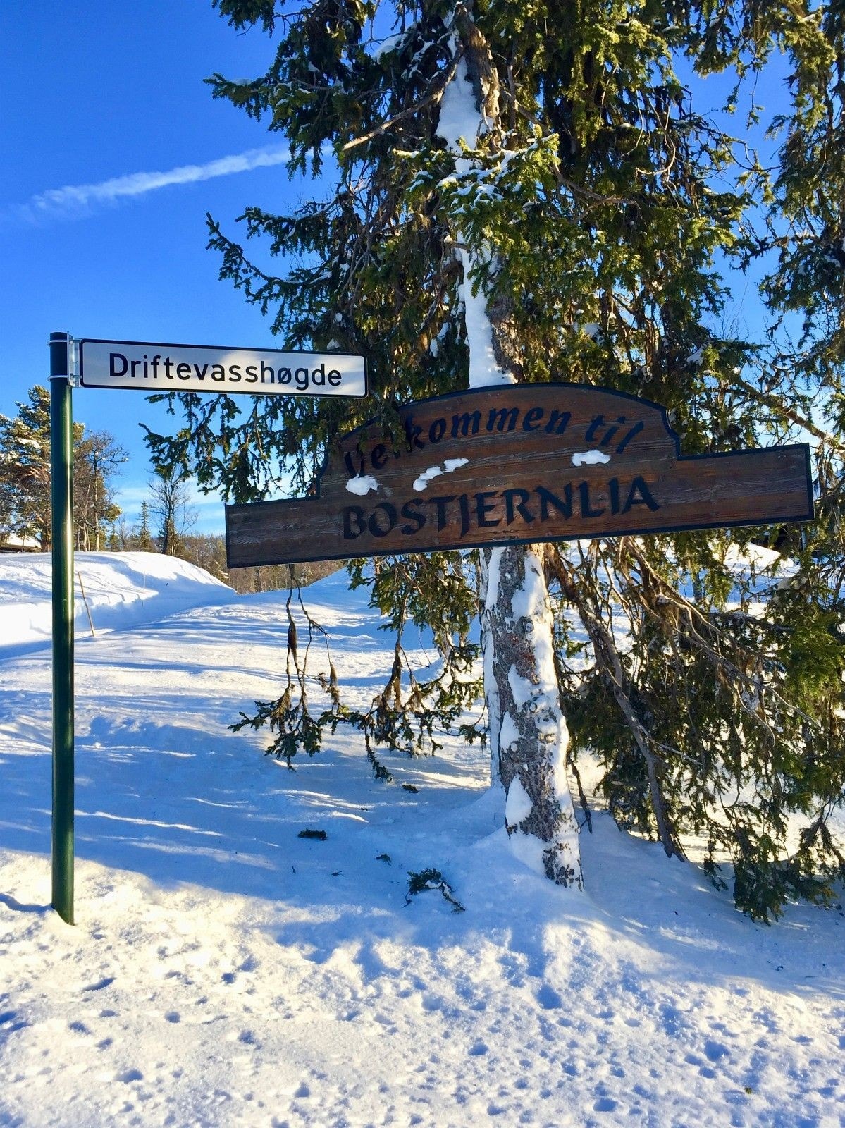 Bostjernlia er et veletablert hytteområde Galleribilde