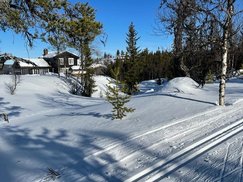 Løypenettet her oppe går i milevis og langrennsturene passer for de minste med korte og enkle turer eller lengre turer ut i snaufjellet. Galleribilde