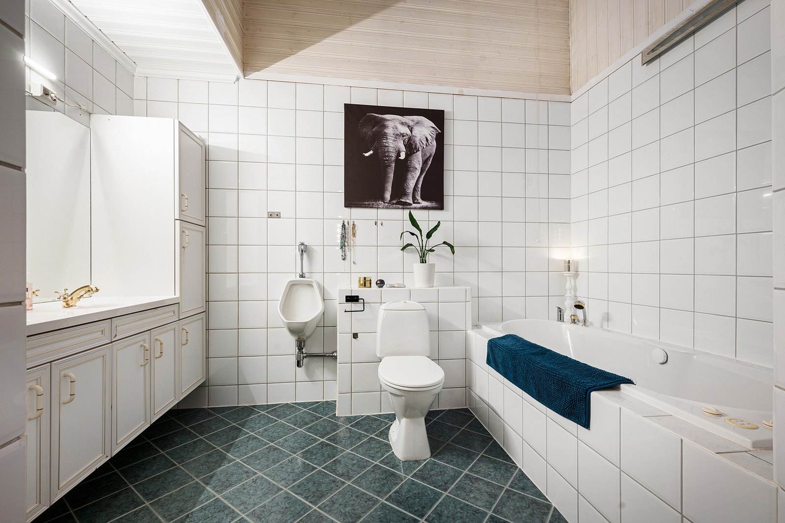 Romslig bad Galleribilde