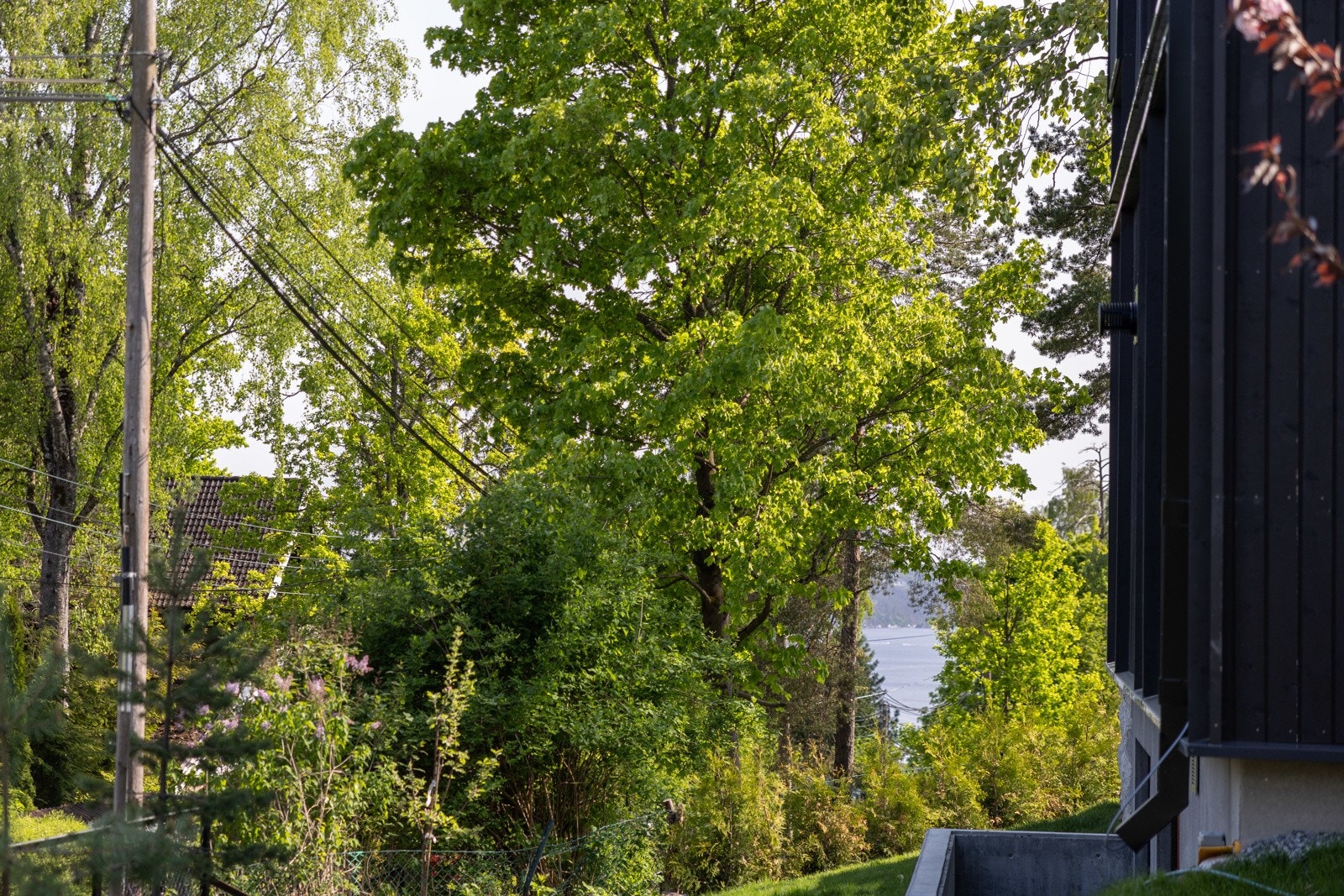 Flott utsikt mot fjorden fra sittegruppen ved inngangspartiet Galleribilde