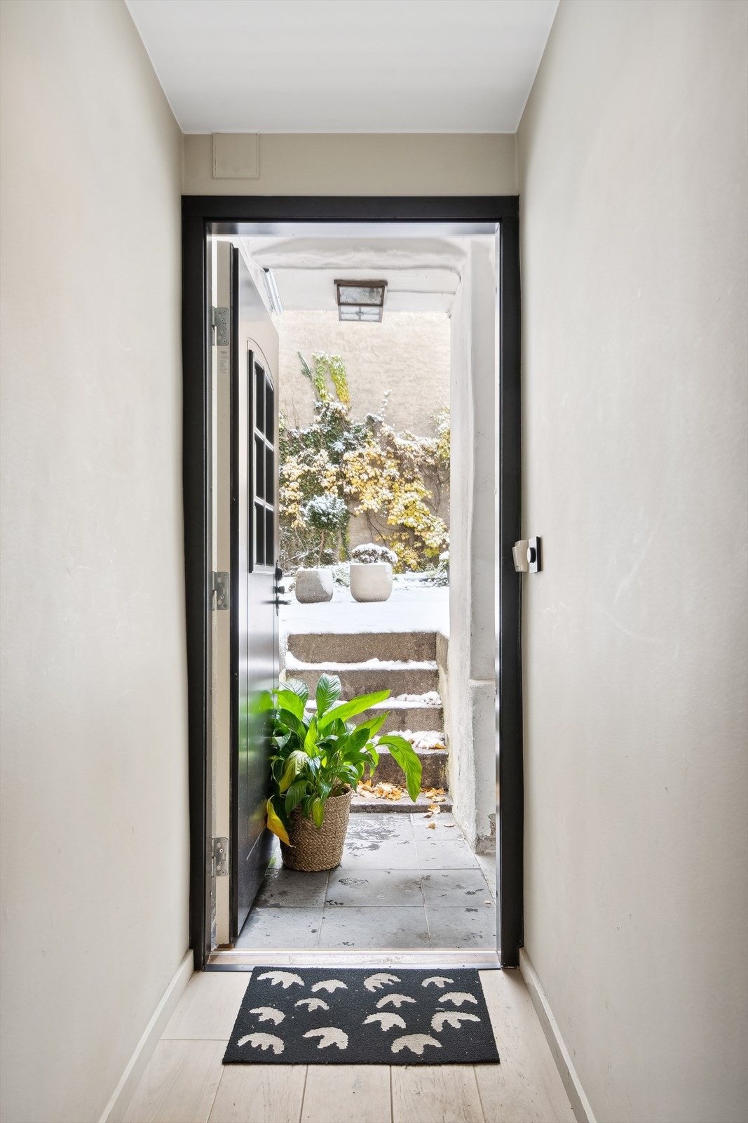 Leiligheten har privat inngang via pen bakgård fra Holtegaten. Galleribilde