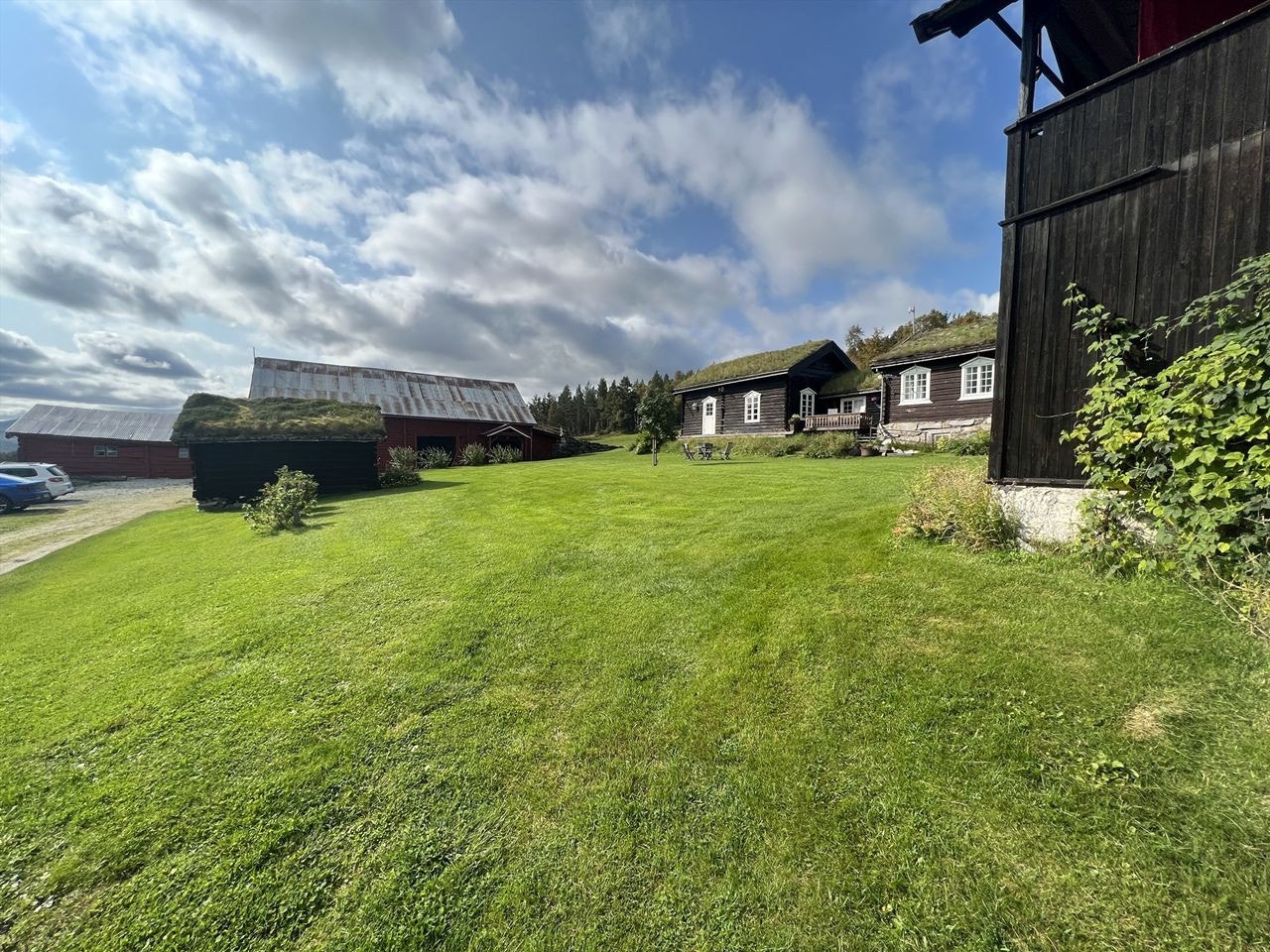 Tunet på sommerstid Galleribilde