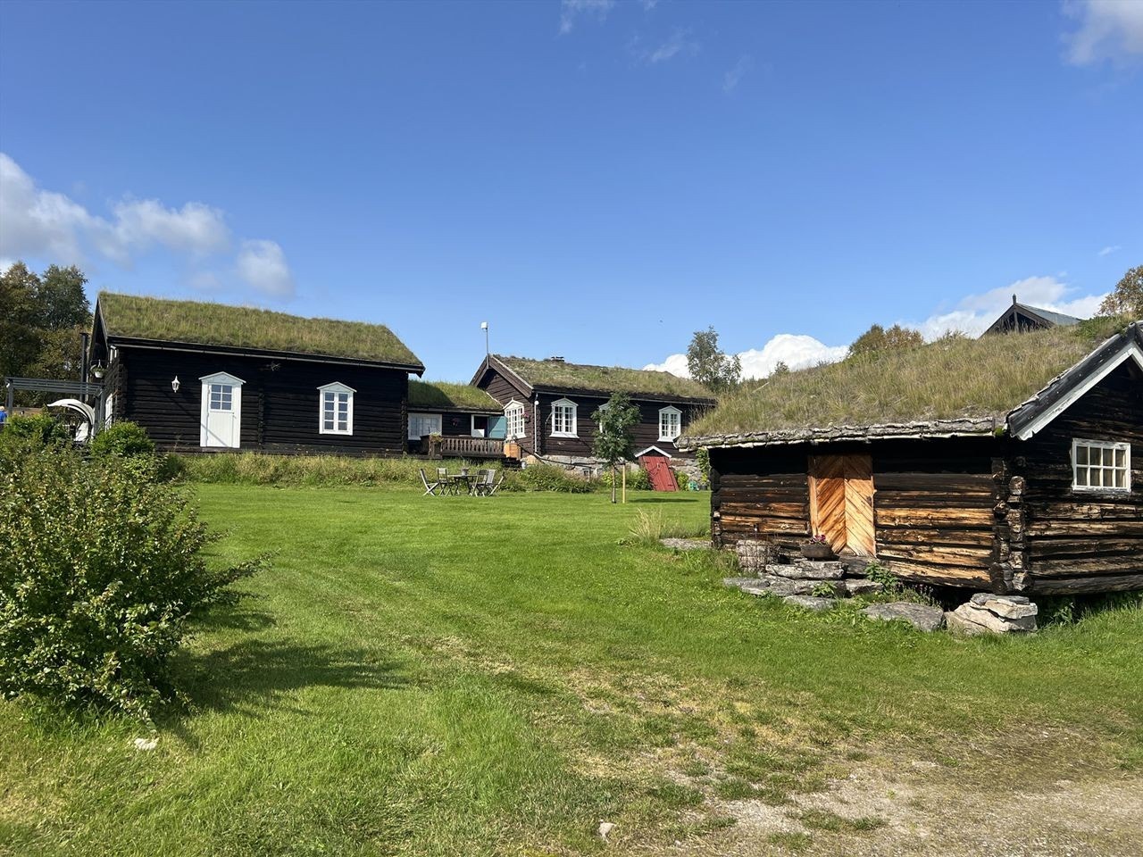 Tunnet en sommerdag Galleribilde