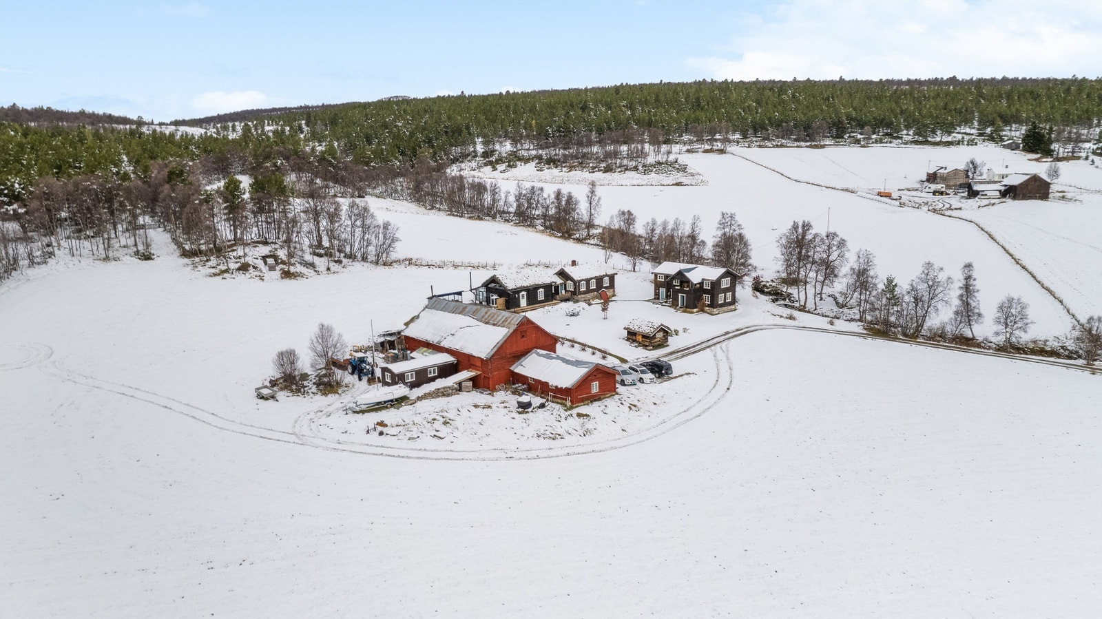 Dronebilde over tunet Galleribilde