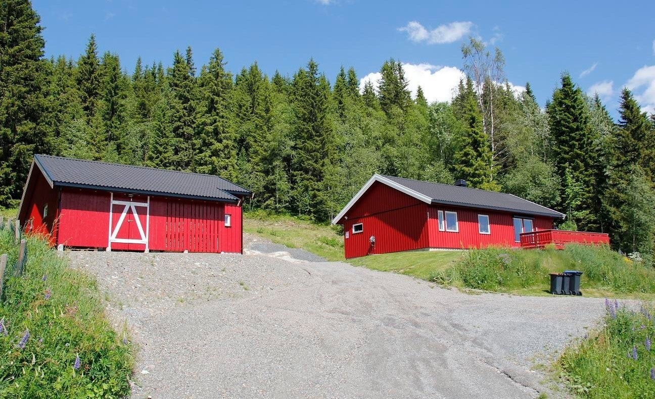 Privat bilde. Øverrovegen 521 i sommerdrakt Galleribilde