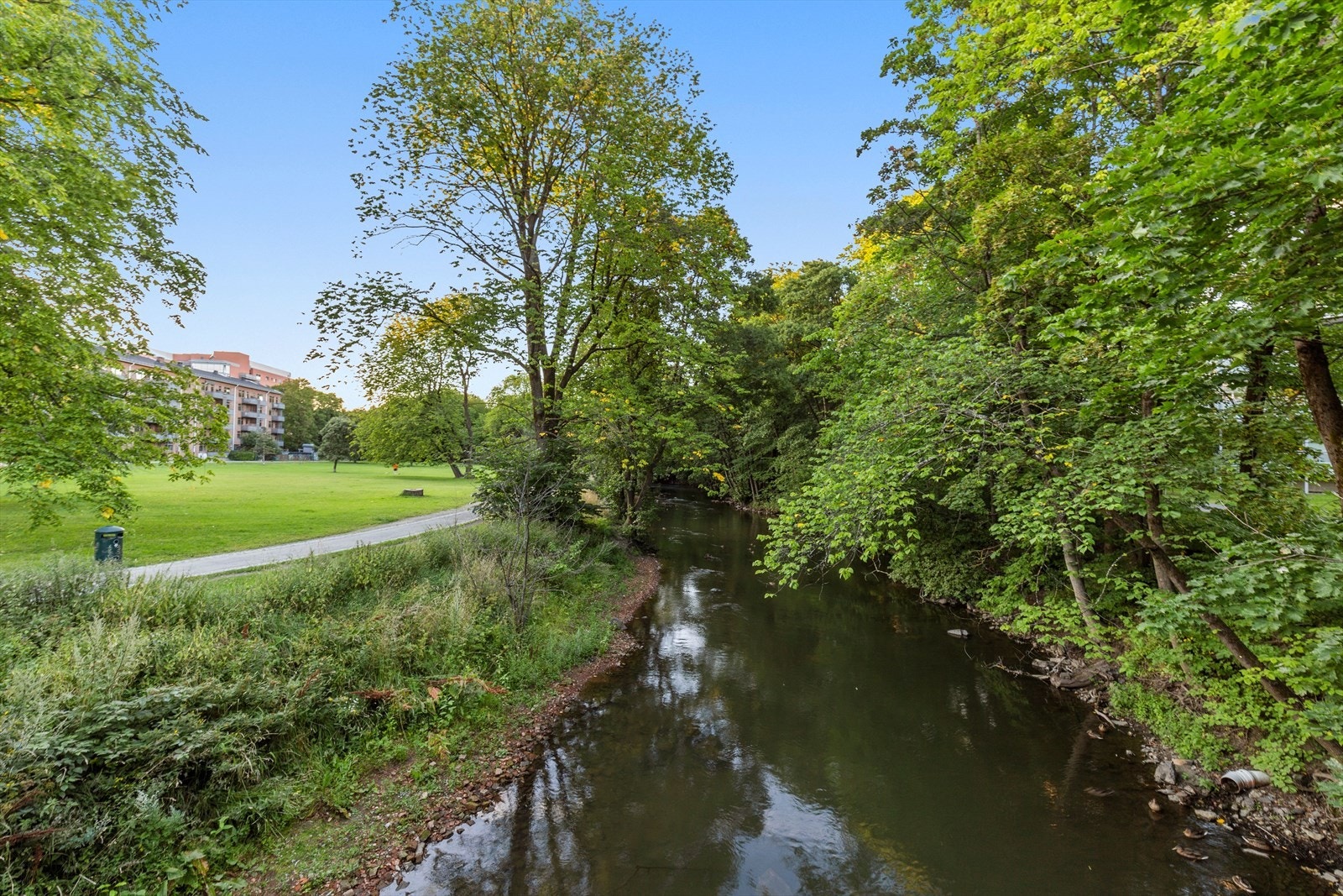 Det er idylliske og flotte turområder i nærheten. Galleribilde