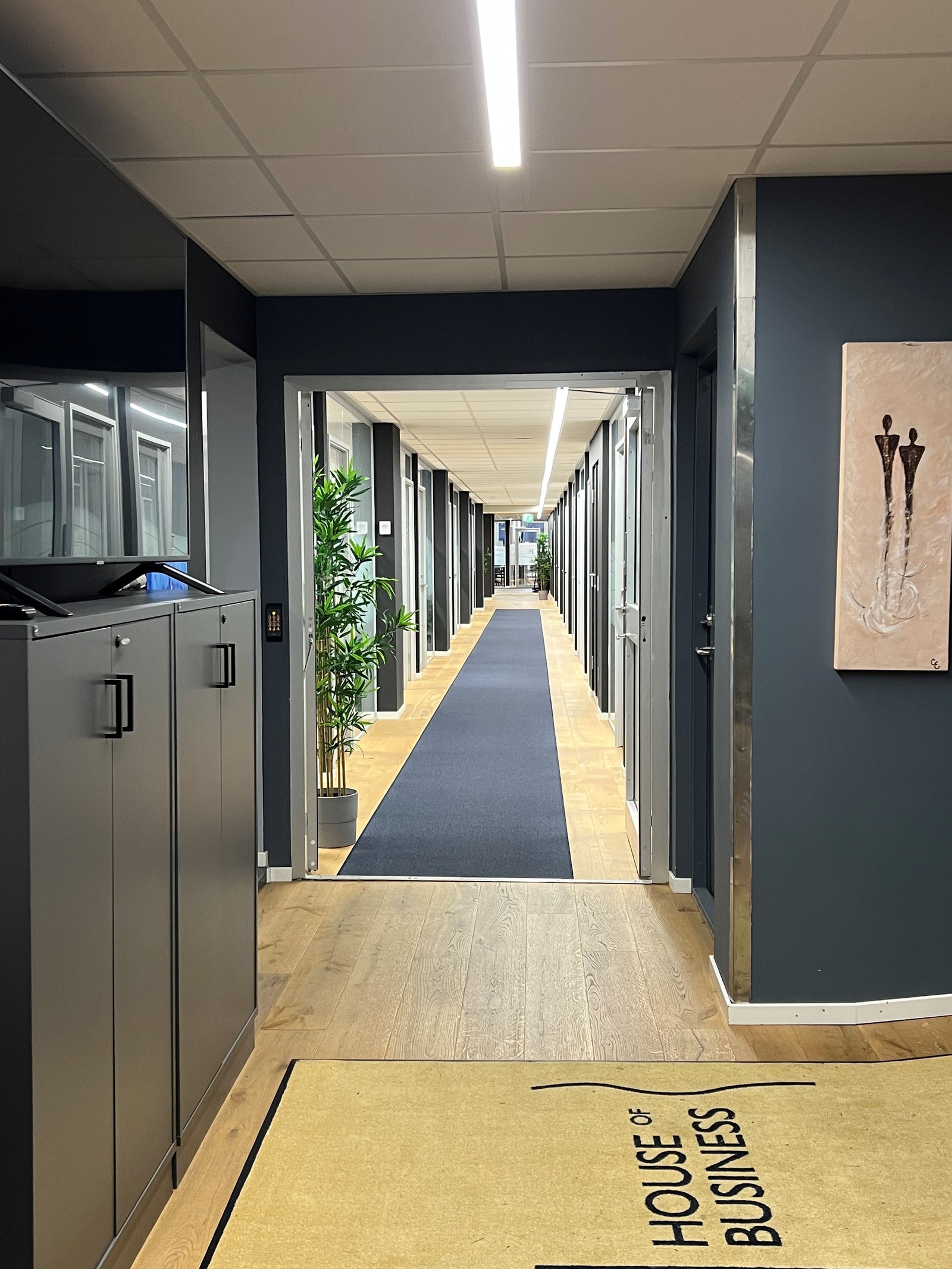 Gode romslige fløyer Galleribilde