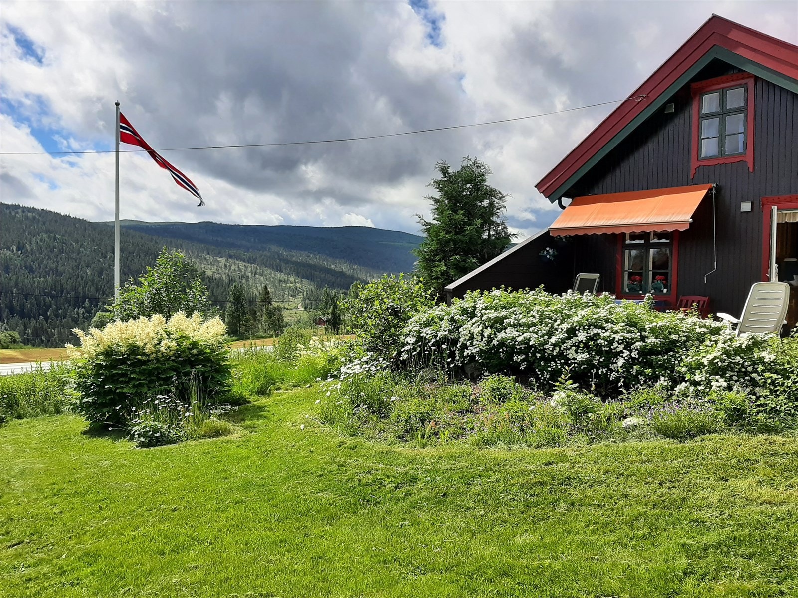 Selger seget foto Galleribilde
