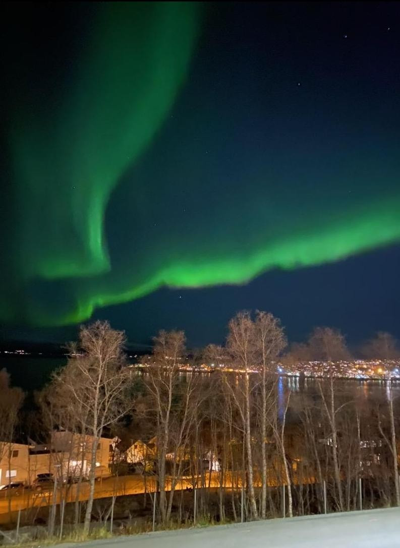 Privat bilde av nordlys sett fra leiligheten.