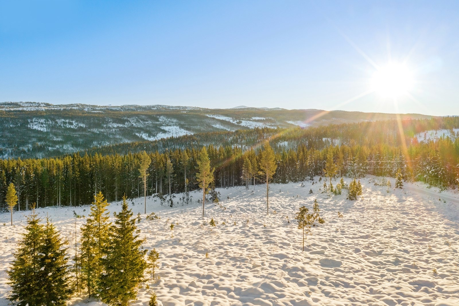 Hytta ligger sørvendt med sol fra morgen til kveld Galleribilde