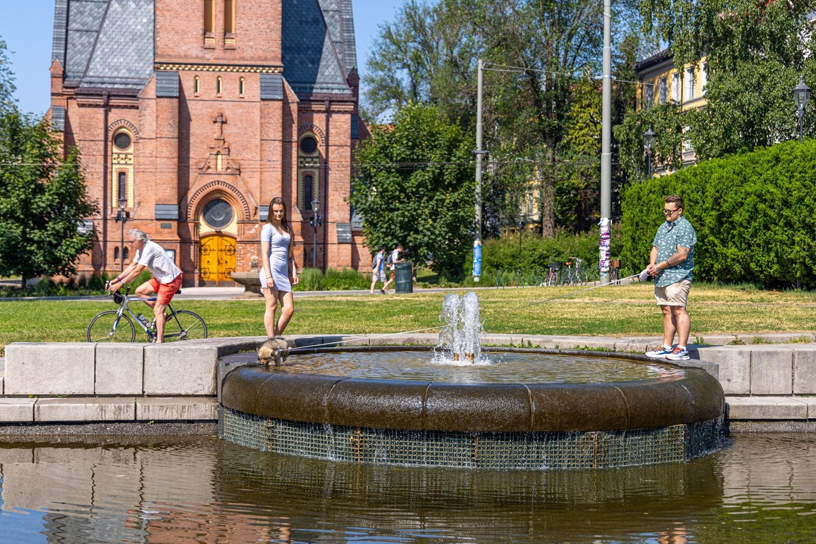 Nærområdet Galleribilde