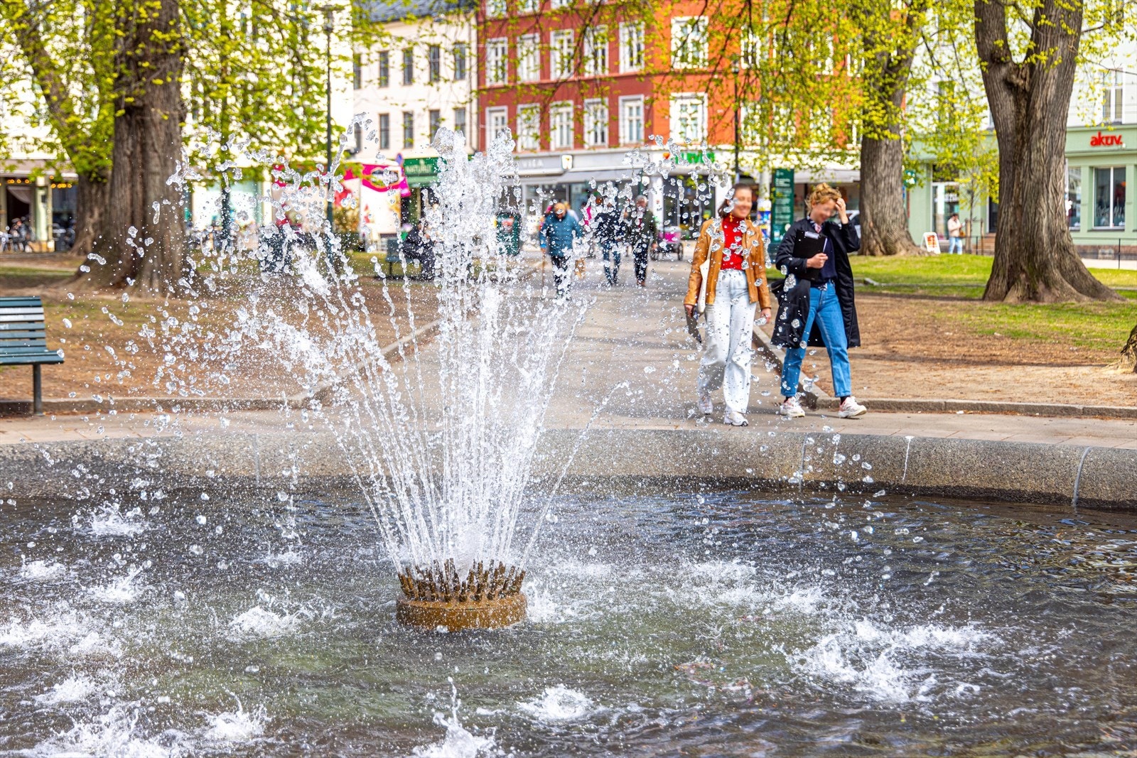 Nærområdet Galleribilde