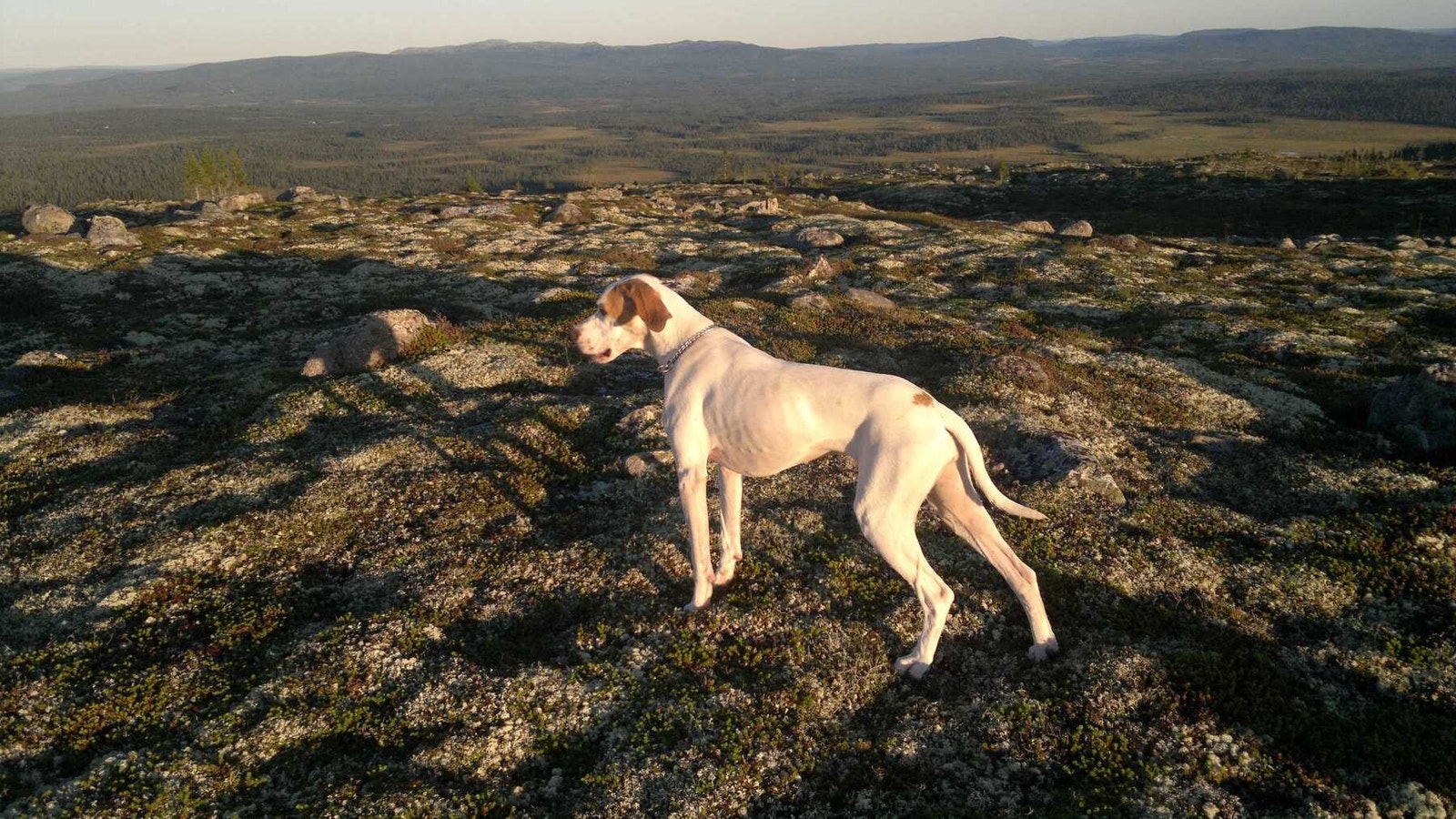Området er populært for jakt og fiske Galleribilde