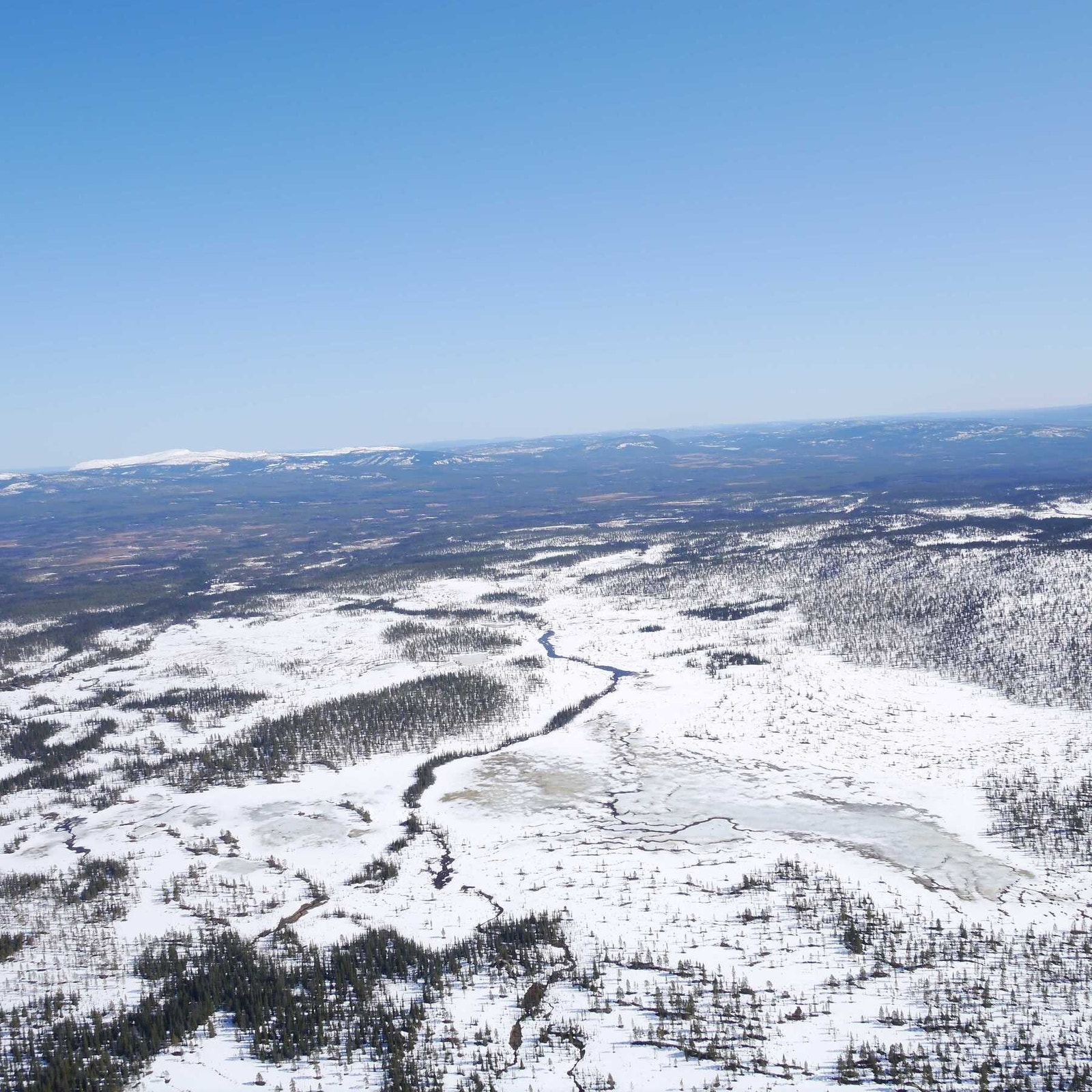 Dronefoto over området Galleribilde