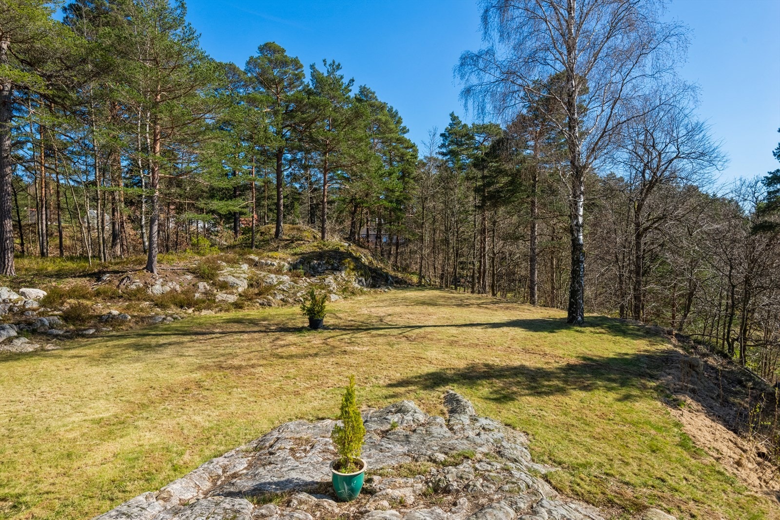 Stor opparbeidet plen Galleribilde
