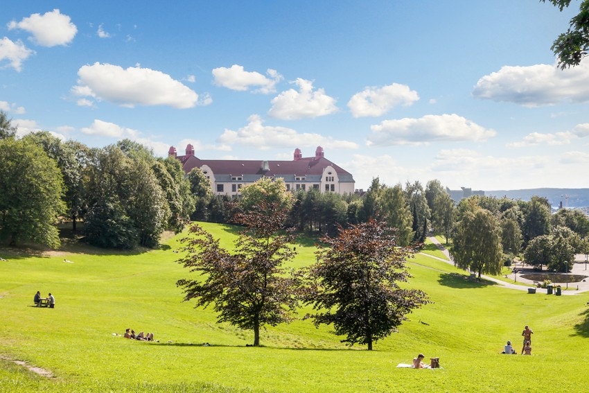 Torshovdalen ligger like i nærheten og er det perfekte sted å tilbringe dager i solen. Galleribilde