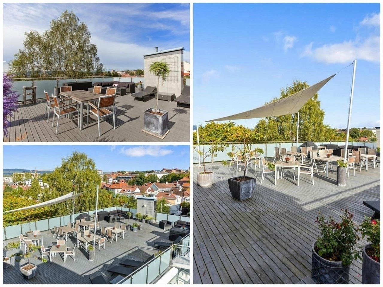 Takterrassen Galleribilde