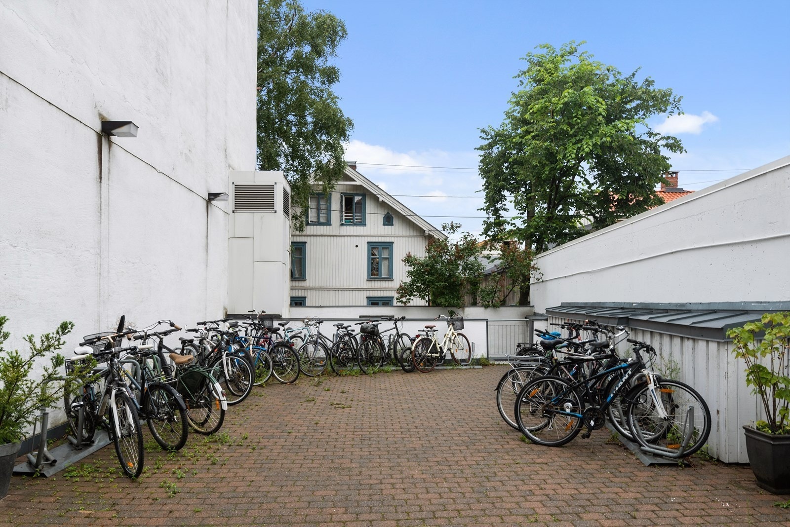 Det er også en felles sykkelparkering i bakgård. Galleribilde