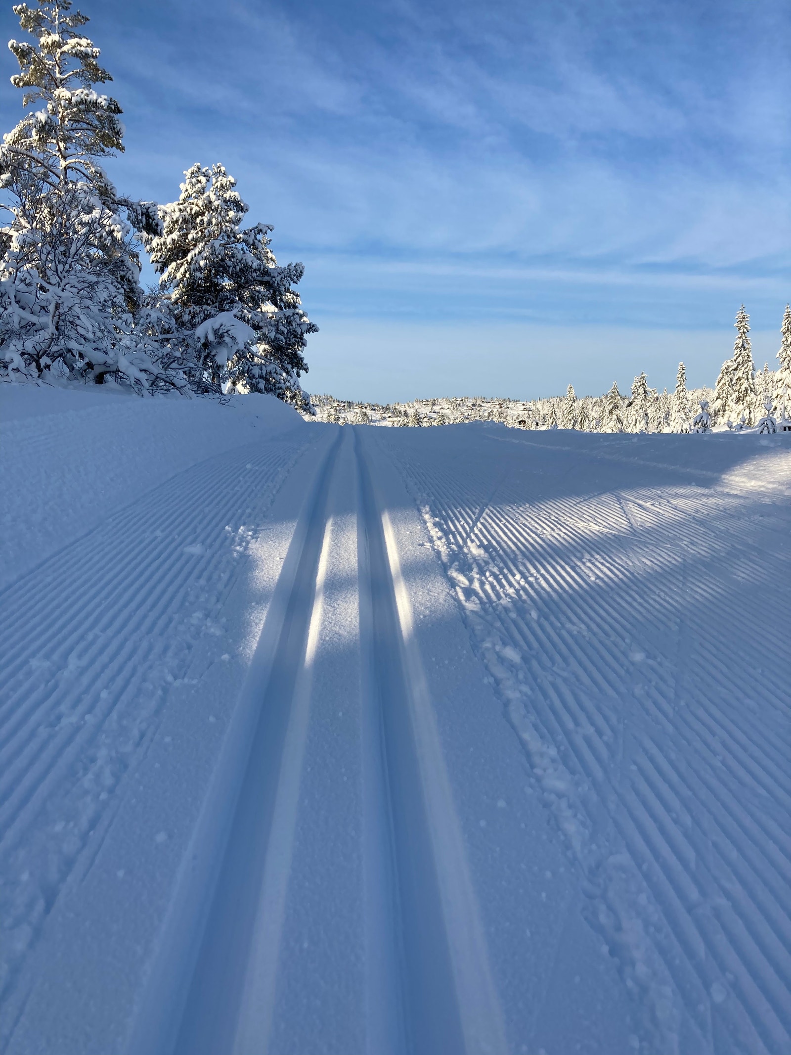 Ski-løype Galleribilde