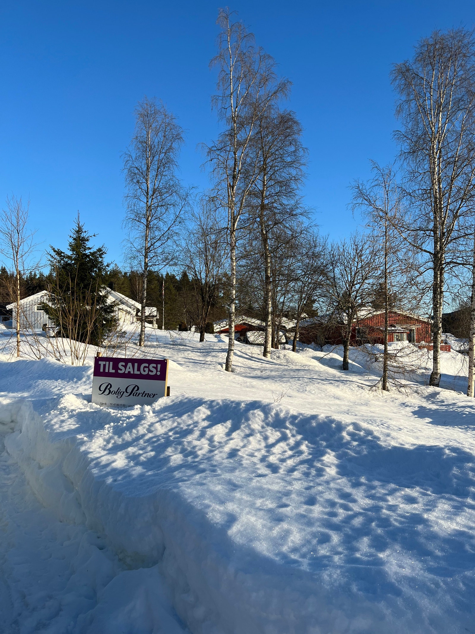 Fin tomt med solrik beliggenhet Galleribilde