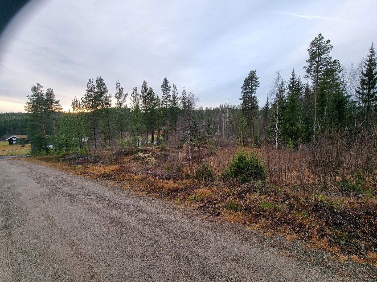 Foto fra tomteområdet, mot tomt 130 Galleribilde