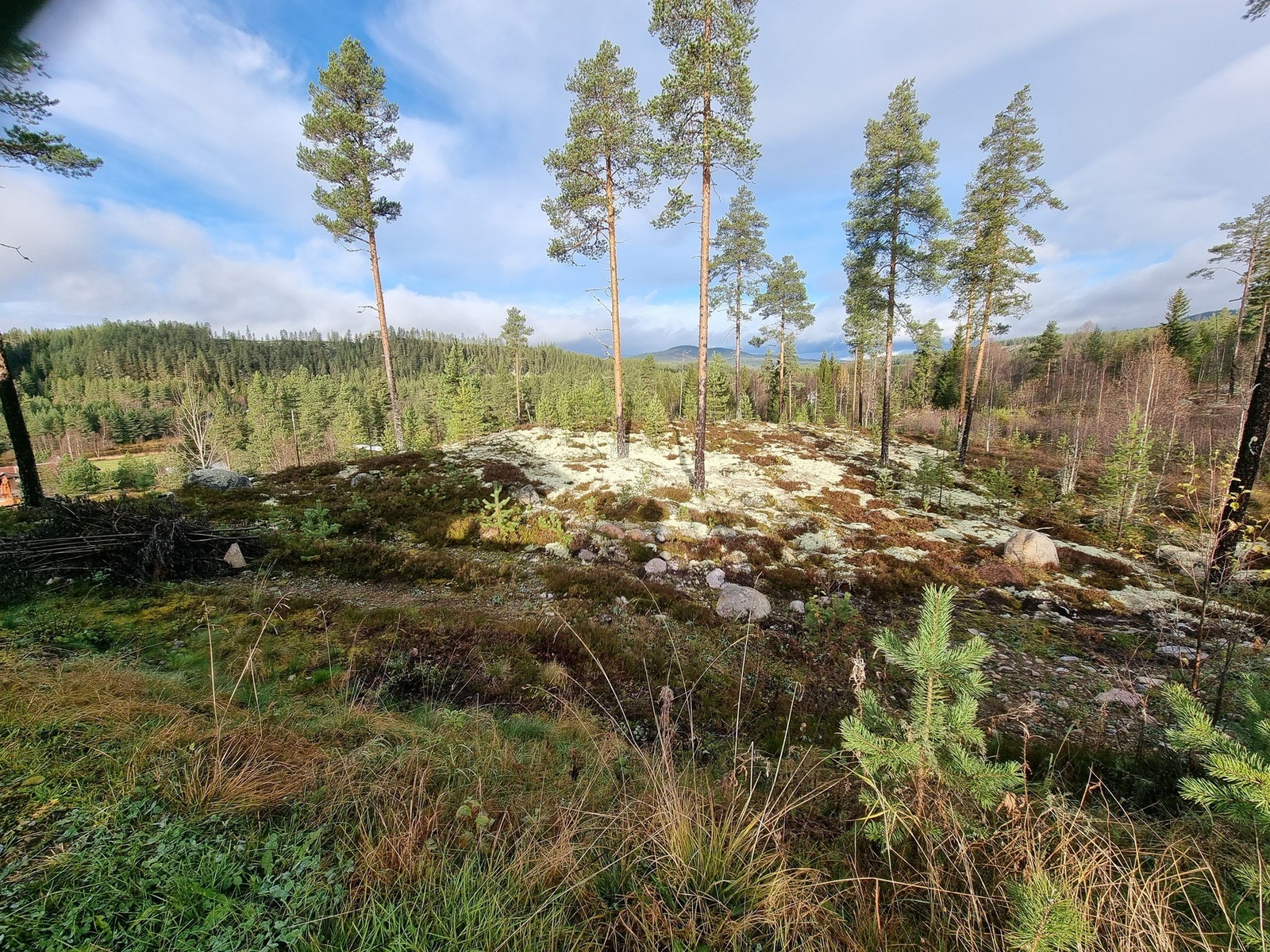 Foto fra tomteområdet, tomt 127 Galleribilde