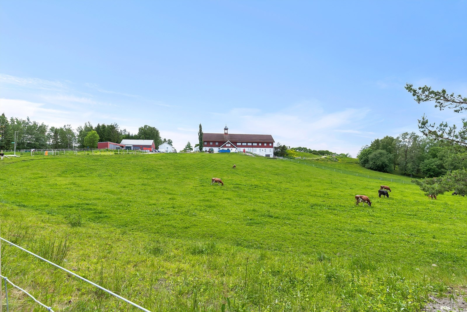 Natur og dyreliv på Nordre Lindeberg gård - en besøksgård som er åpen for alle! Galleribilde