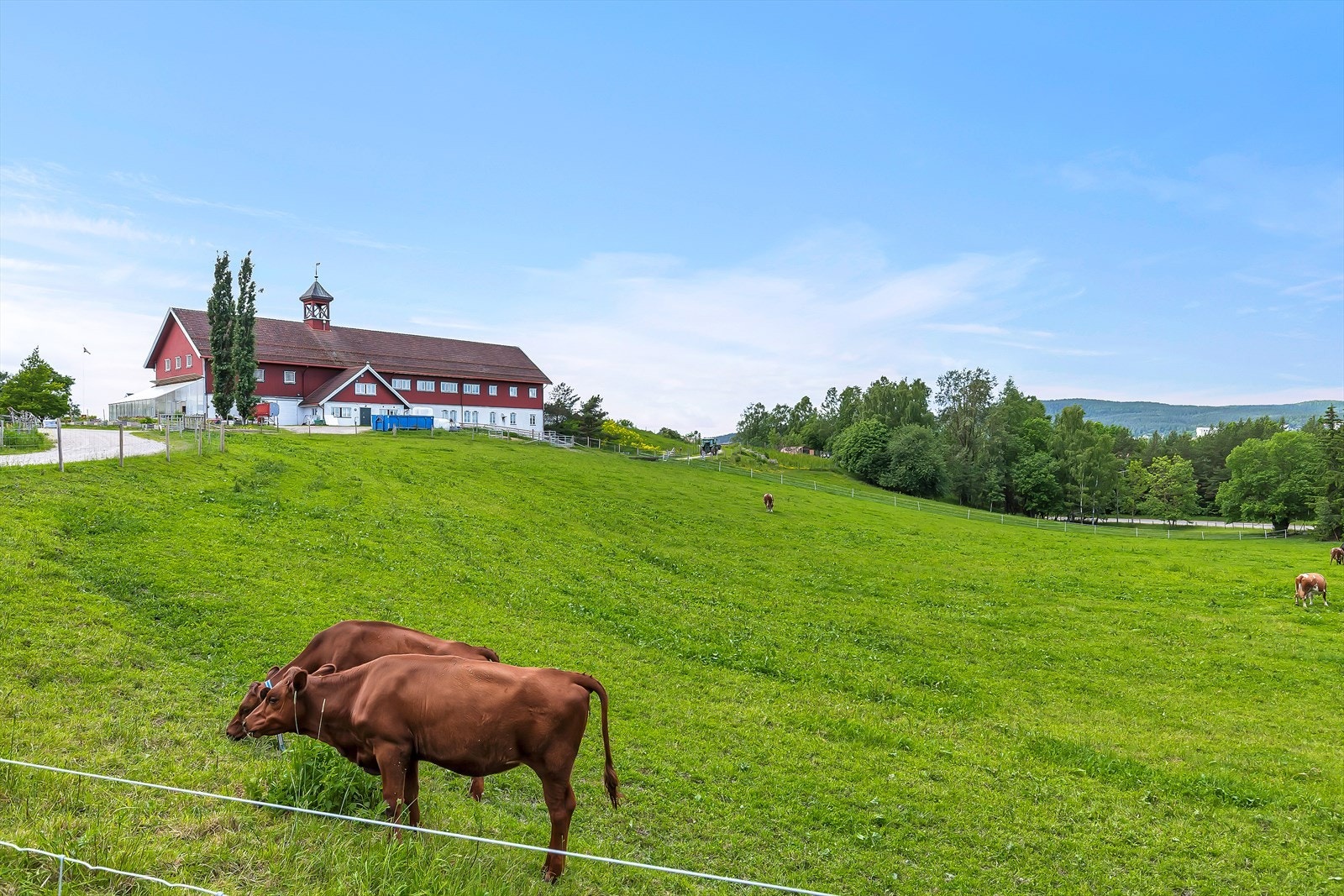 Nordre Lindeberg Gård Galleribilde
