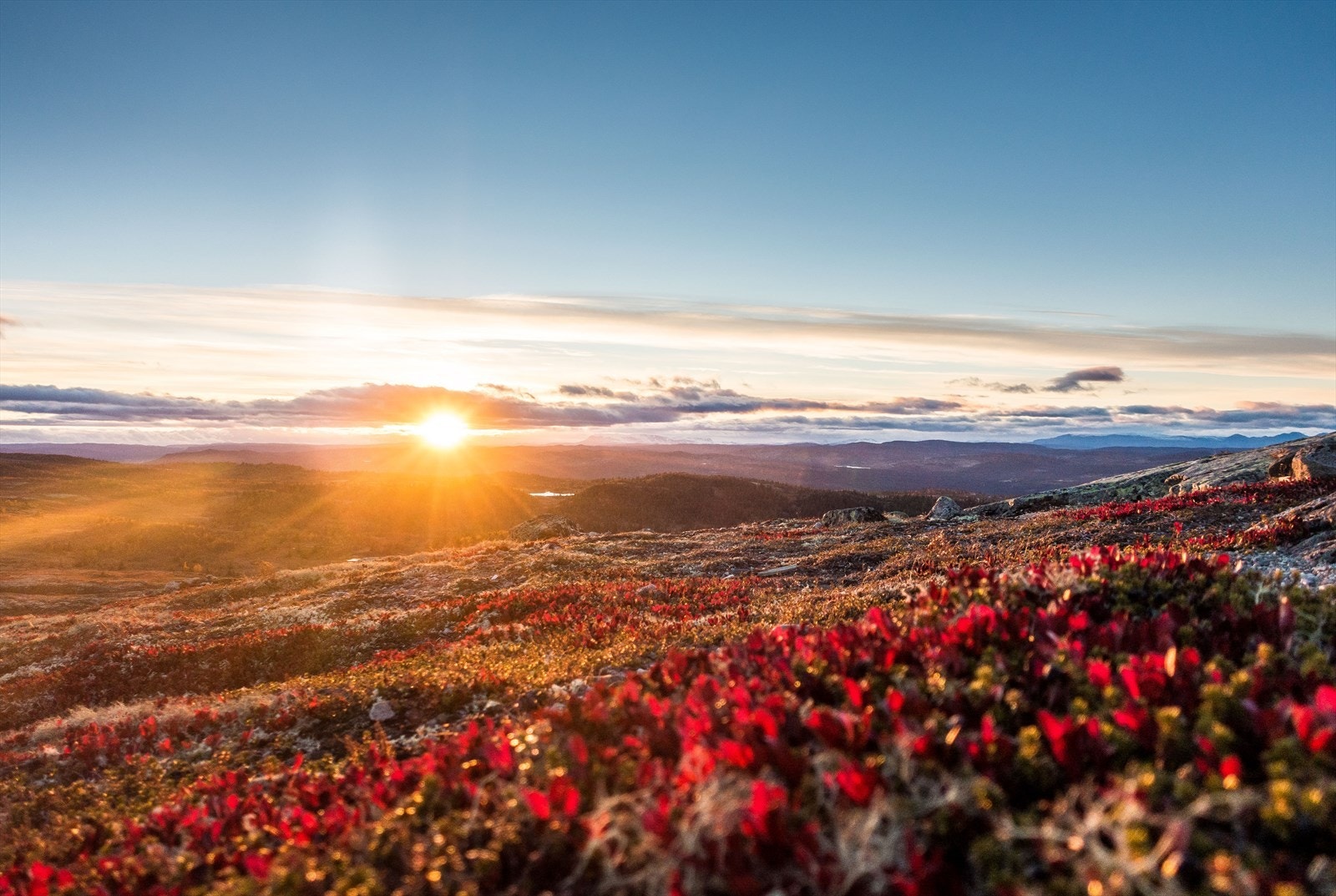 Kvasshovda Nesfjellet - en flott topptur fra skianlegget. Galleribilde