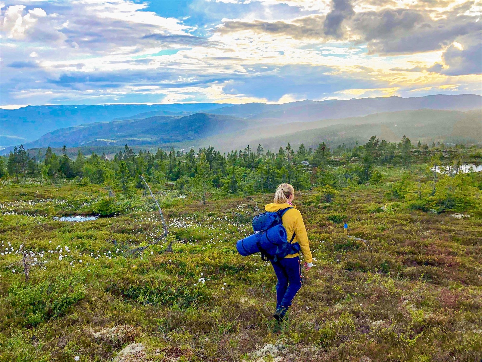 Turufjell Galleribilde