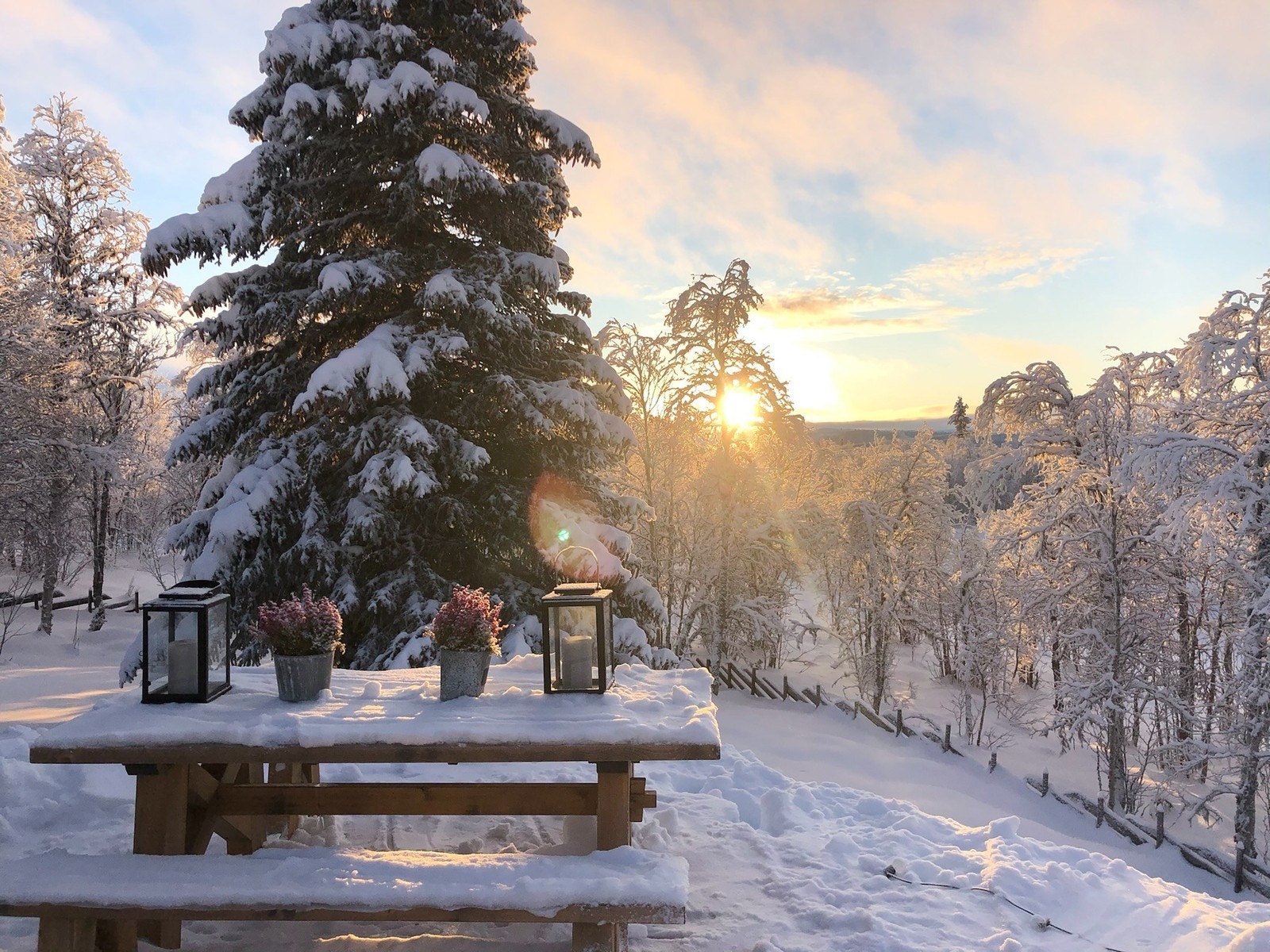 Selgers eget foto. Galleribilde