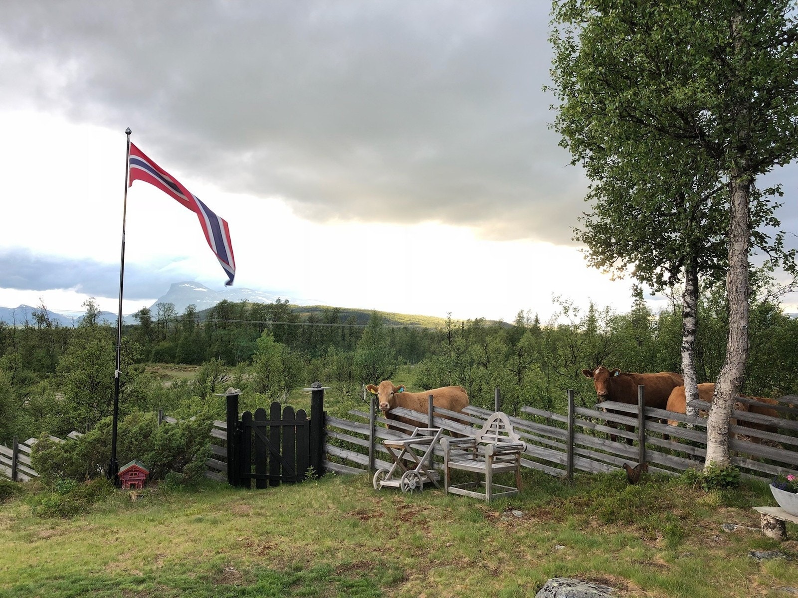 Langestølen er en del av et stort stølsområde hvor det fortsatt er aktiv stølsdrift. Galleribilde