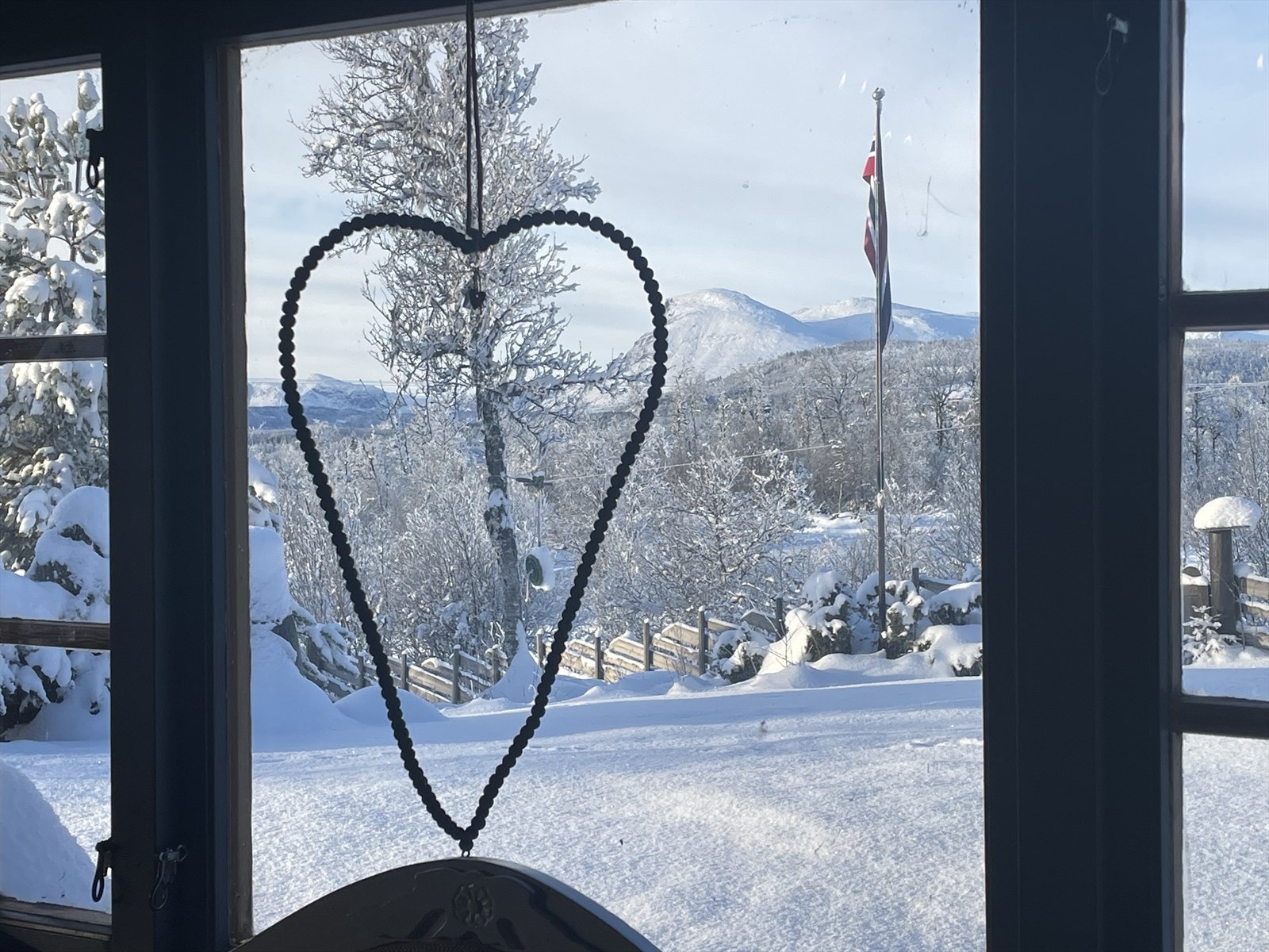 Skogshorn fra vinduet Galleribilde