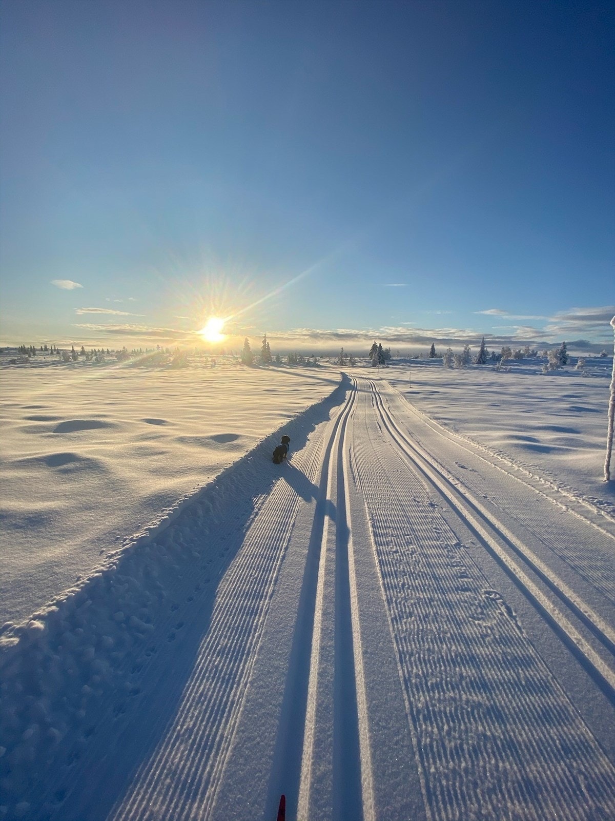 Om vinteren snorer et stort nett av langrennsløyper seg gjennom det vennlige landskapet. Selgers eget vinterbilde. Galleribilde