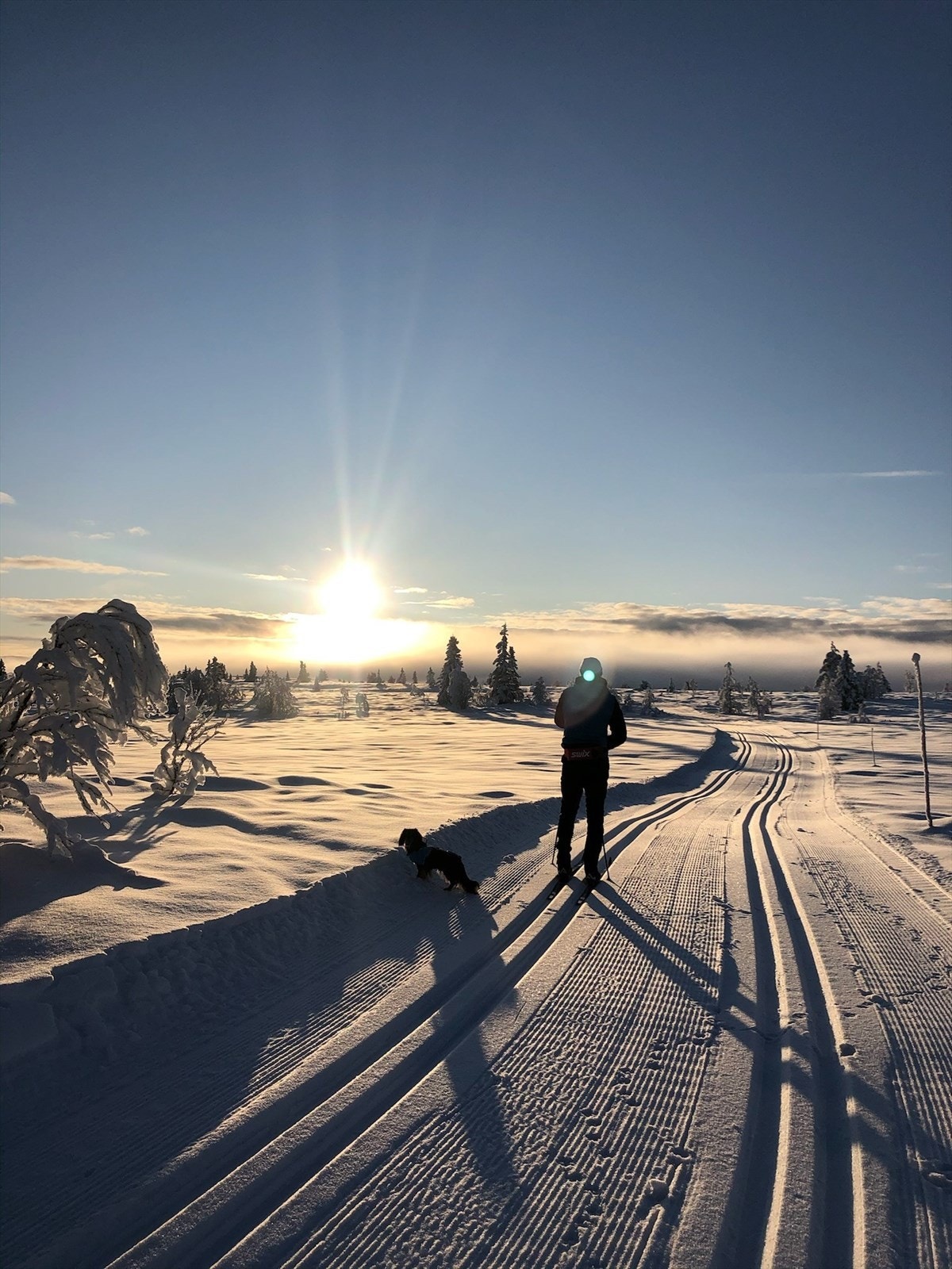 Her kan du spenne på deg skiene rett utenfor døren og legge i vei innover fjellviddene i velpreparerte løyper. Fantastiske skiturer hvor Stølsvidda løypelag er en del av et omfattende løypenettet. Her kan gå milevis i variert terreng. Selgers eget foto. Galleribilde