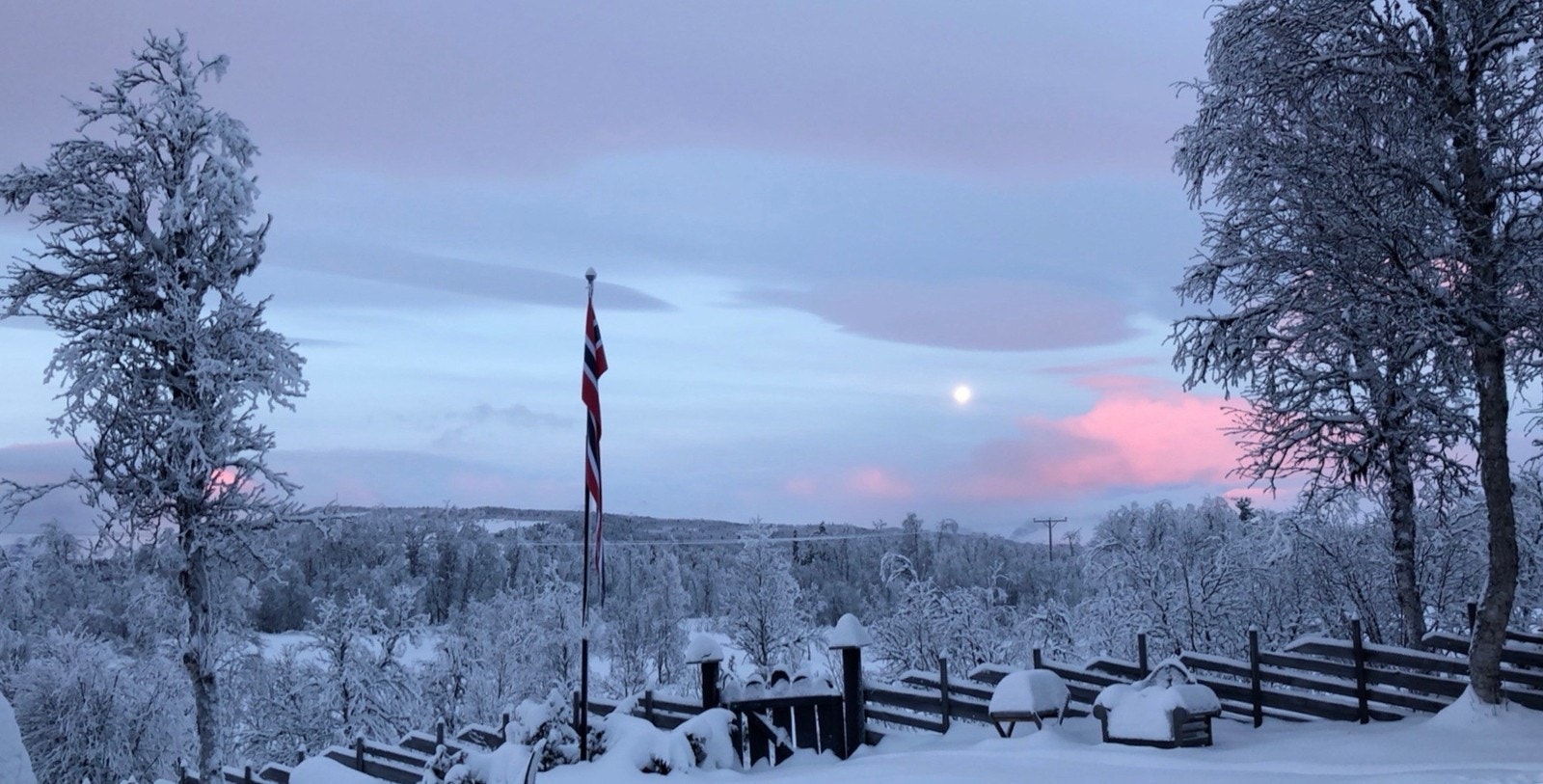 Blåtimen Galleribilde